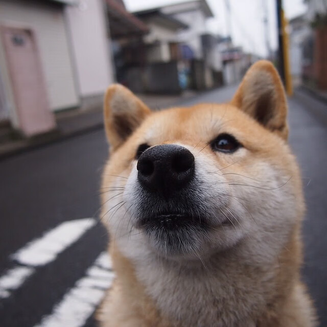 开云体育中国官网-Dota 2 国际赛场精彩纷呈，dota2国际邀请赛视频