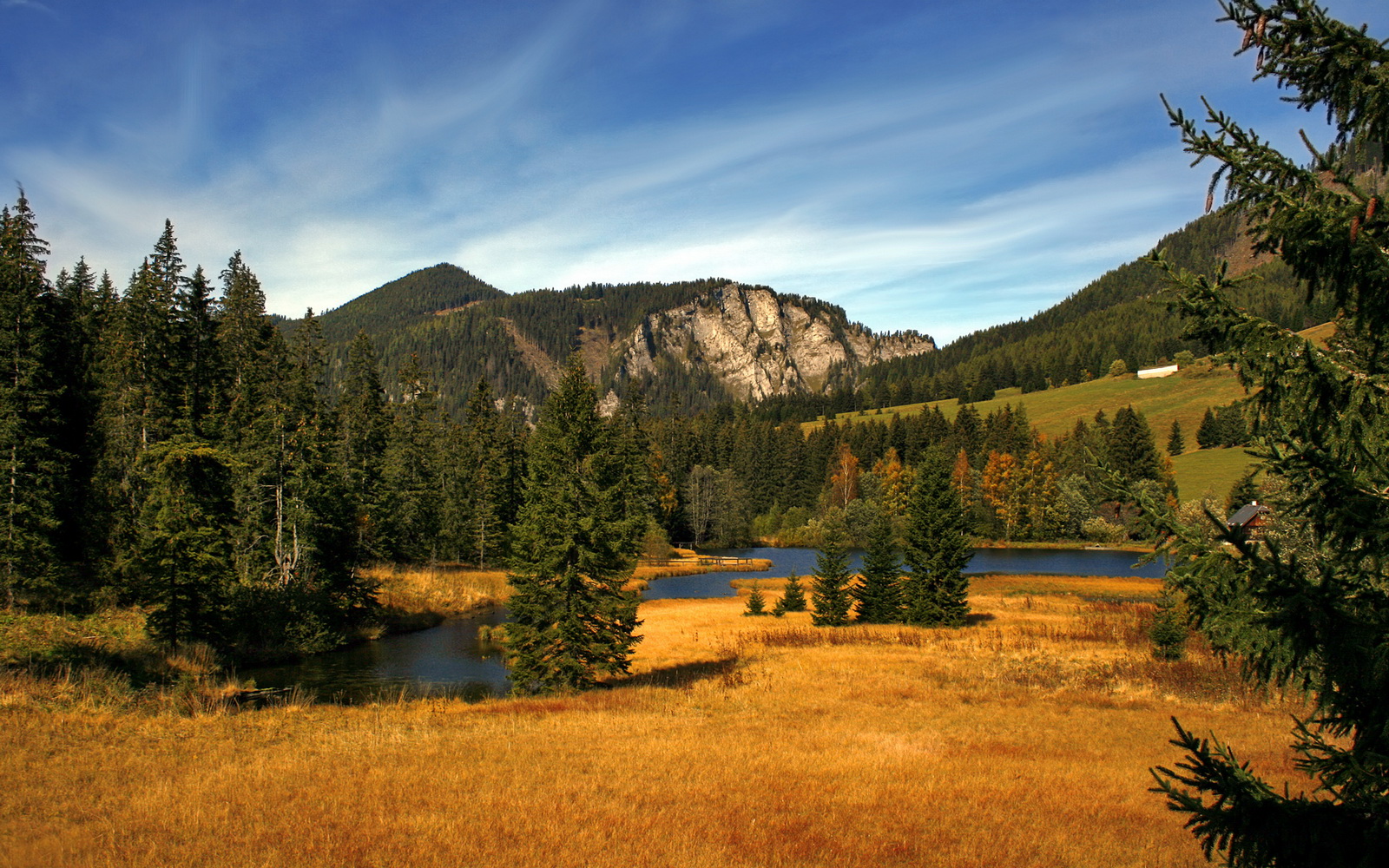 开云网页版-WRC冠军之路：车手如何攀登巅峰，wrc车手的车技有多高