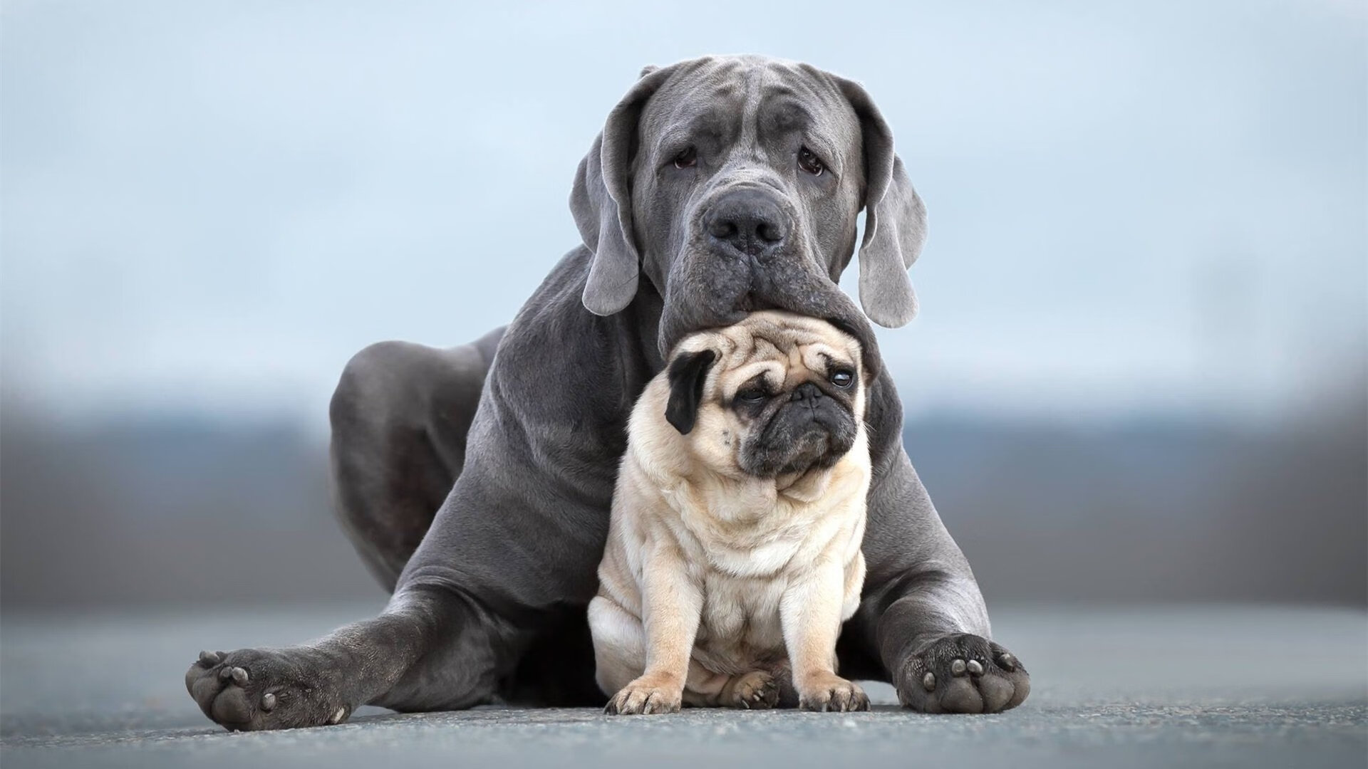 开云网页版-_星空下的露天瑜伽：平衡身心的天然良方_，星空下的露营有感
