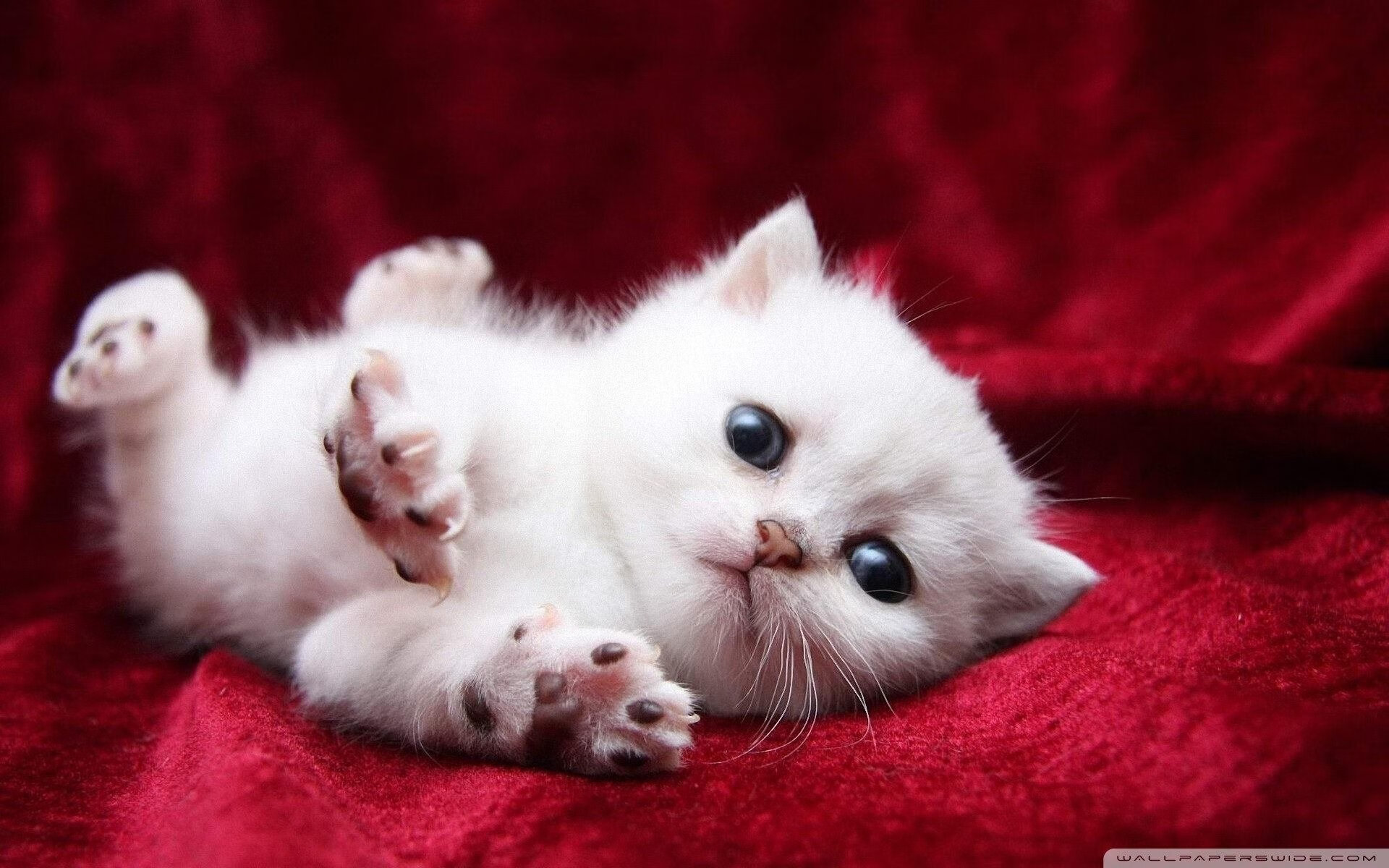 开云APP-【场上瞬间】犀利传球现场拆解，为何能实现出局？，传球玩法