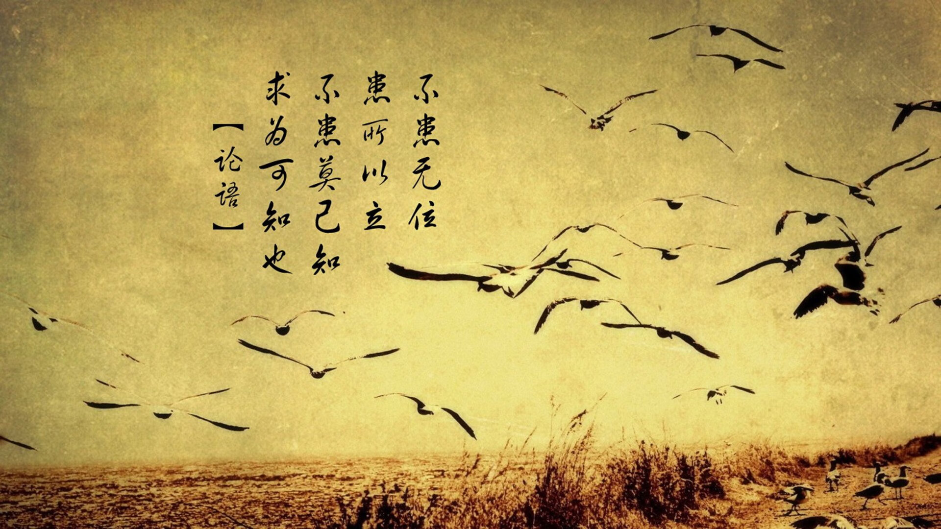 开云网页版登录入口-全数字化驾驶舱：未来的驾驶体验，数字驾驶舱更新3.0