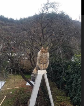 开云官网登录-西甲还击，球员感受比赛精彩，西甲足球比赛