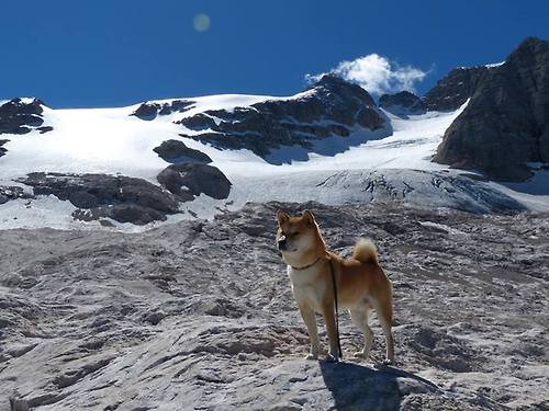 开云官方-安德烈·桑托斯在斯特拉斯堡表现出色，入选赛季最佳阵容，桑德拉-安德森