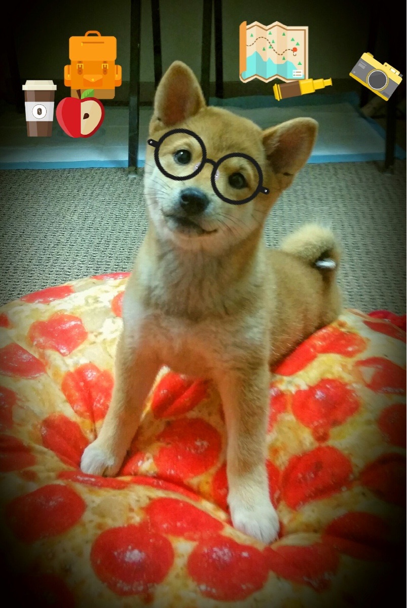 开云体育官方网入口-维达德卡萨布兰卡主场迎战卫冕冠军，挑战强敌，卡萨布兰卞