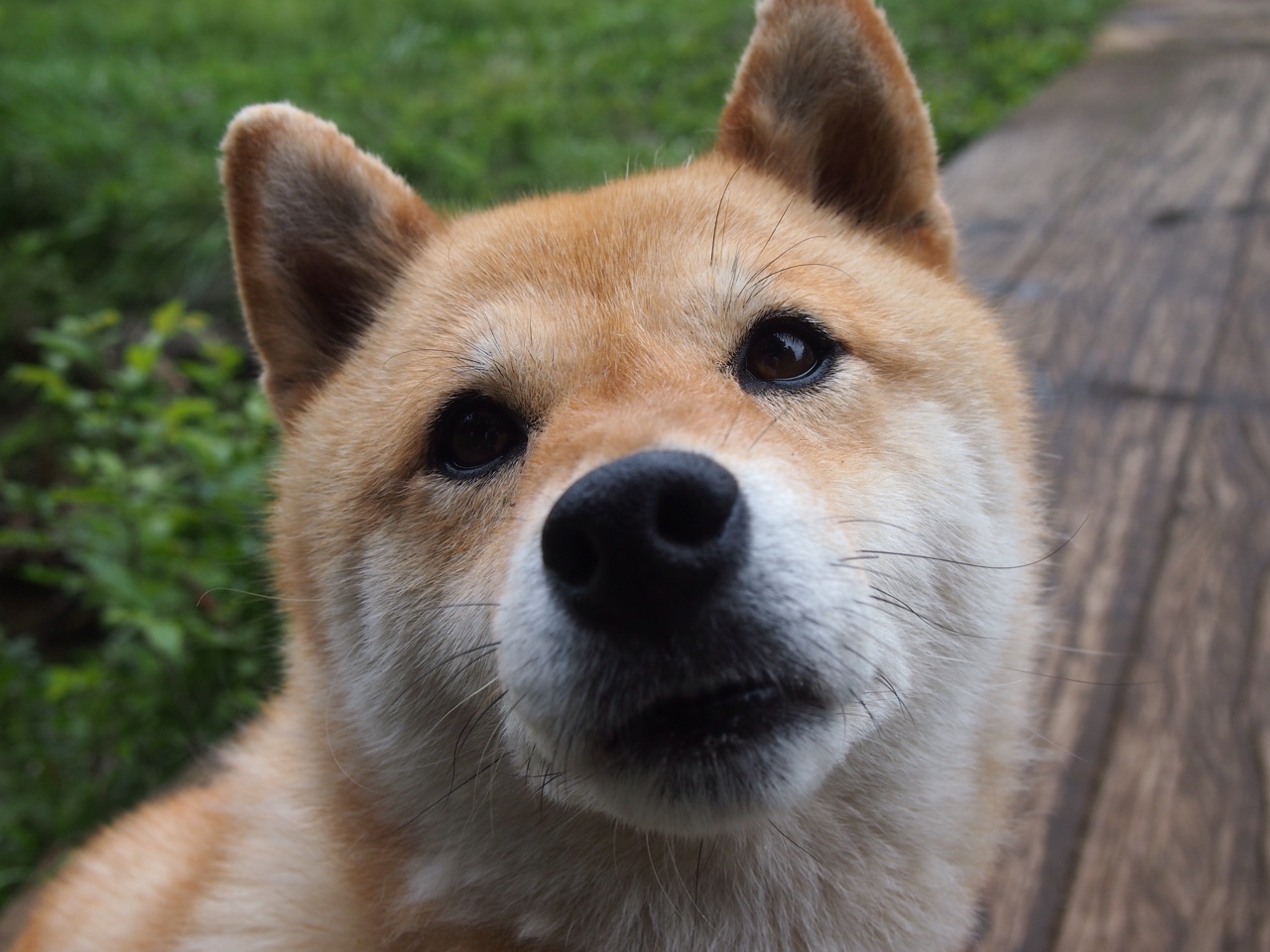 开云网页版登录入口-体育场馆数字化管理体系，体育场馆智能化系统