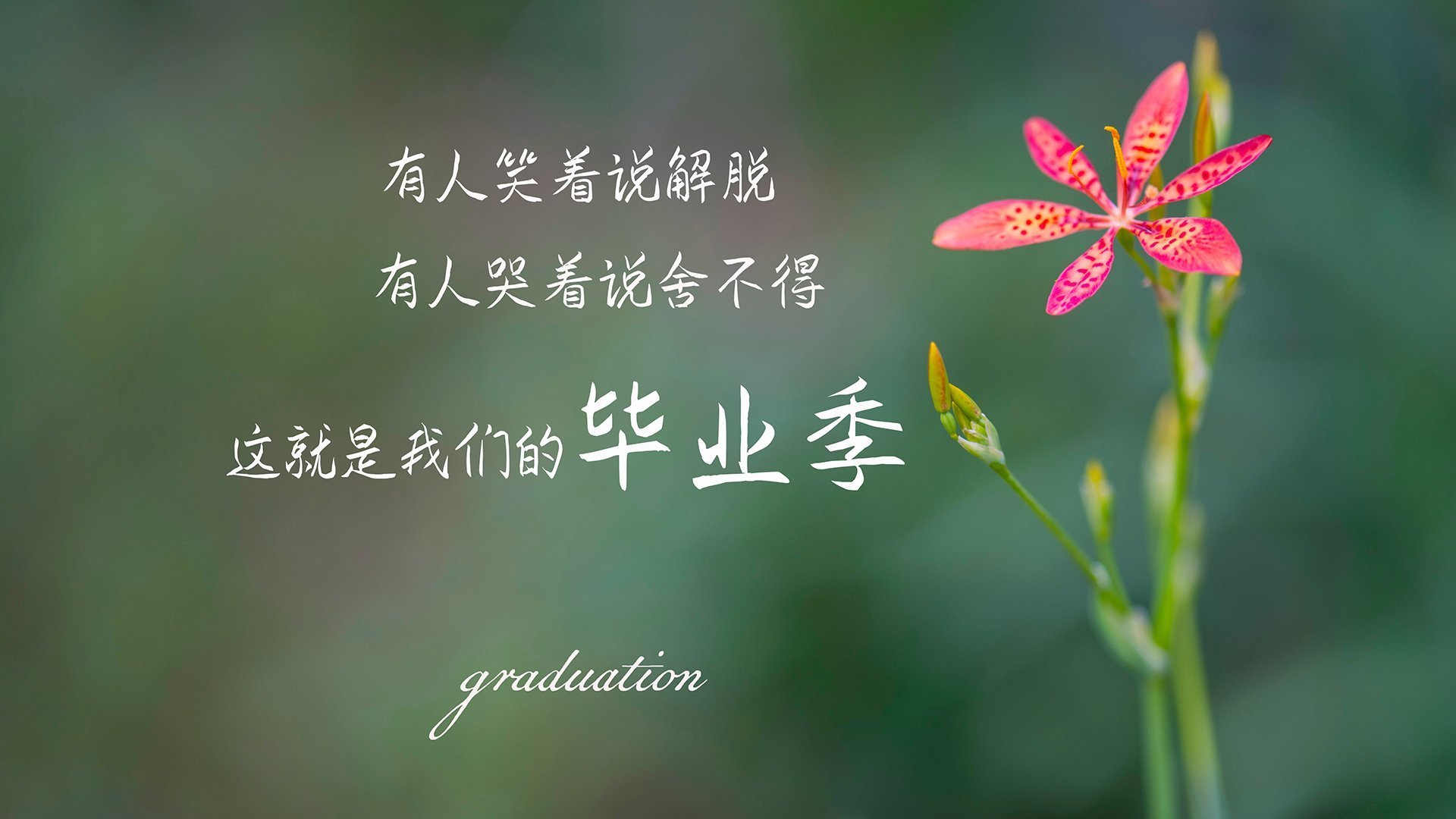 kaiyun 开云体育-意甲VAR系统语义分析模型提升判罚效率，var的意义