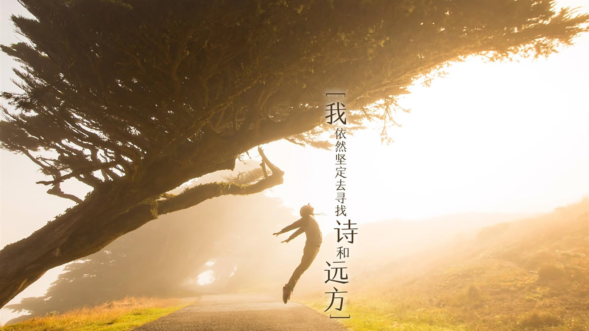 开云体育视频直播-意甲球队基于肌肉疲劳累积评分建立训练负荷闭环模型