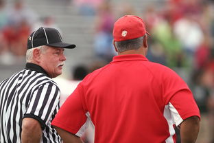 开云网页版-意甲裁判语义分析辅助判罚准确性的应用探讨，意甲 裁判