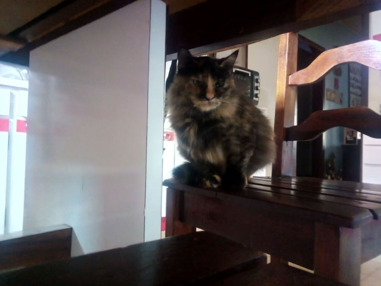 详细阅读:开云在线直播-“高新体育中心武术比赛:看选手如何在短短数秒间决胜负” 开云在线直播-“高新体育中心武术比赛:看选手如何在短短数秒间决胜负”