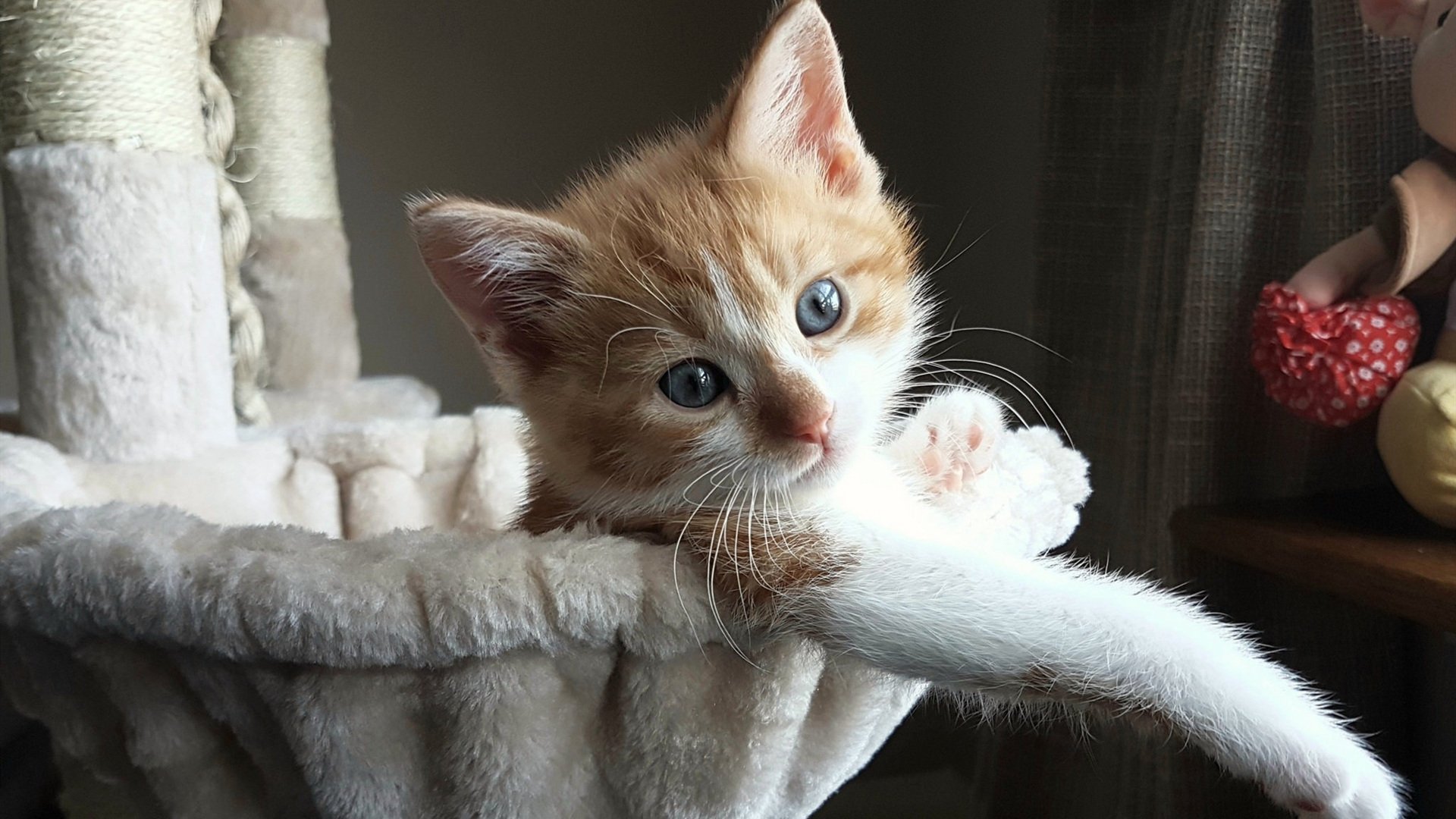 详细阅读:kaiyun开云·官方网站-五大联赛红黄牌分布与比赛风格对比,五大联赛最快红牌 kaiyun开云·官方网站-五大联赛红黄牌分布与比赛风格对比,五大联赛最快红牌