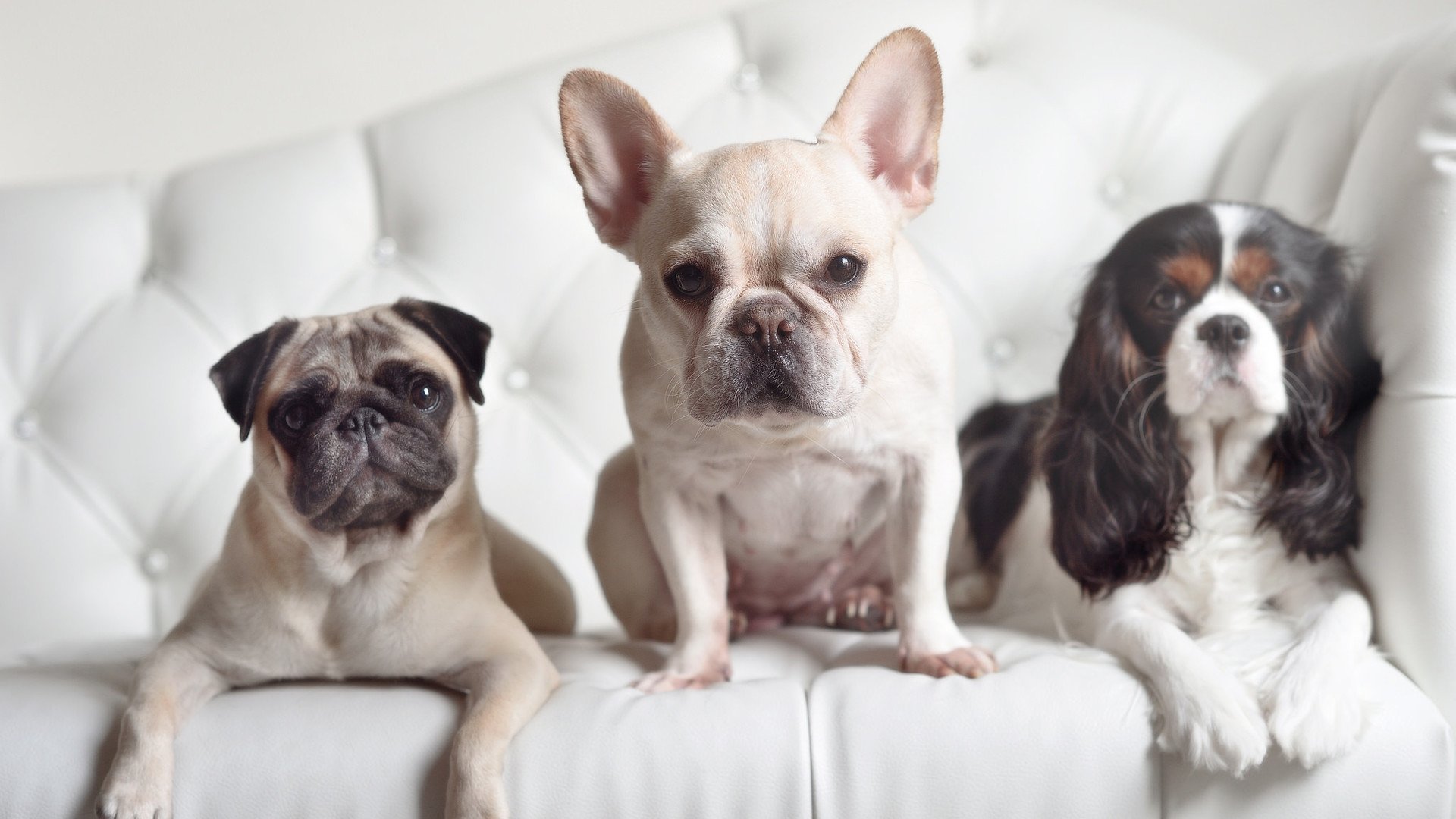 开云体育在线赛事直播-体育新闻中心构建智能体育内容分发系统，体育智能化系统