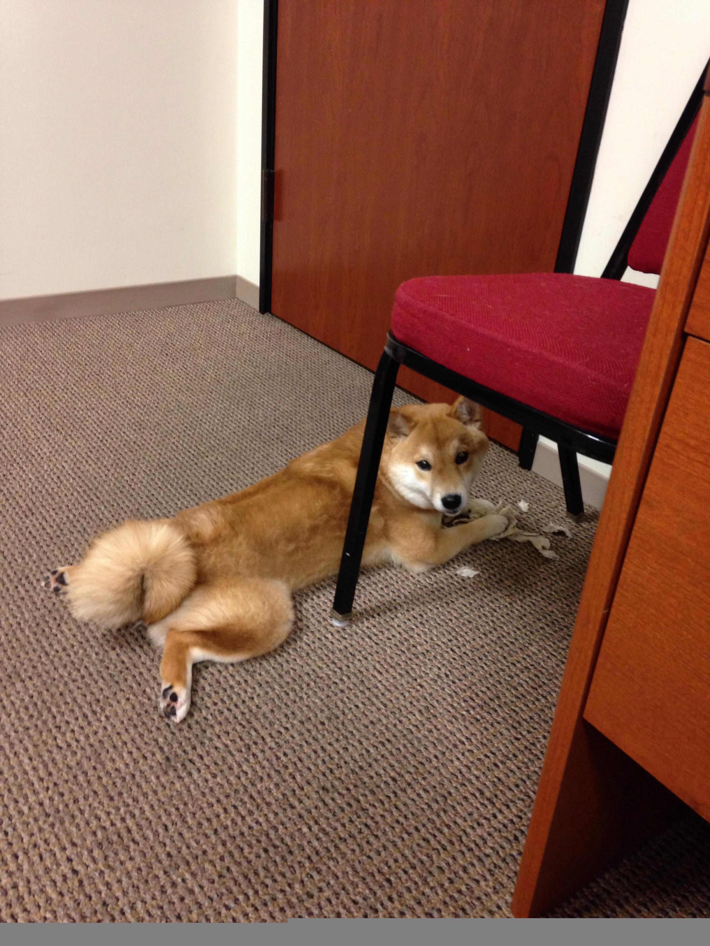开云体育中国官网-张雨霏个人泳池训练视频登热搜，张雨菲游泳照
