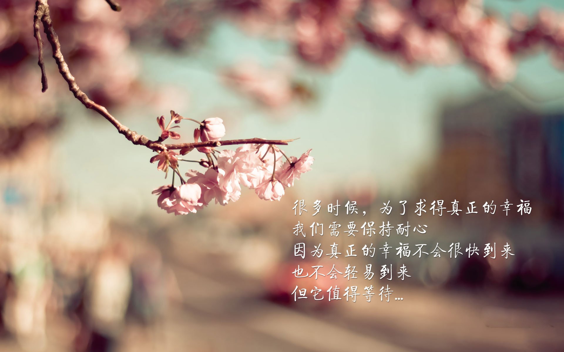 开云官网在线-西班牙青年队崭露头角，未来之星正在崛起